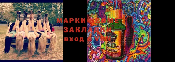 альфа пвп Бородино